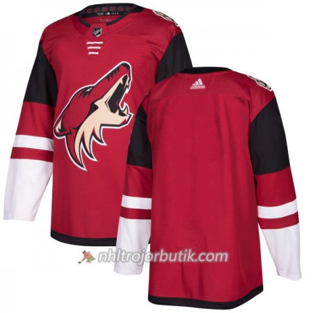 Män Ishockey Arizona Coyotes Tröja Blank Adidas 2017-2018 Maroon Authentic